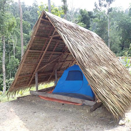 Tentstar Eco Resort San Vicente  Ngoại thất bức ảnh